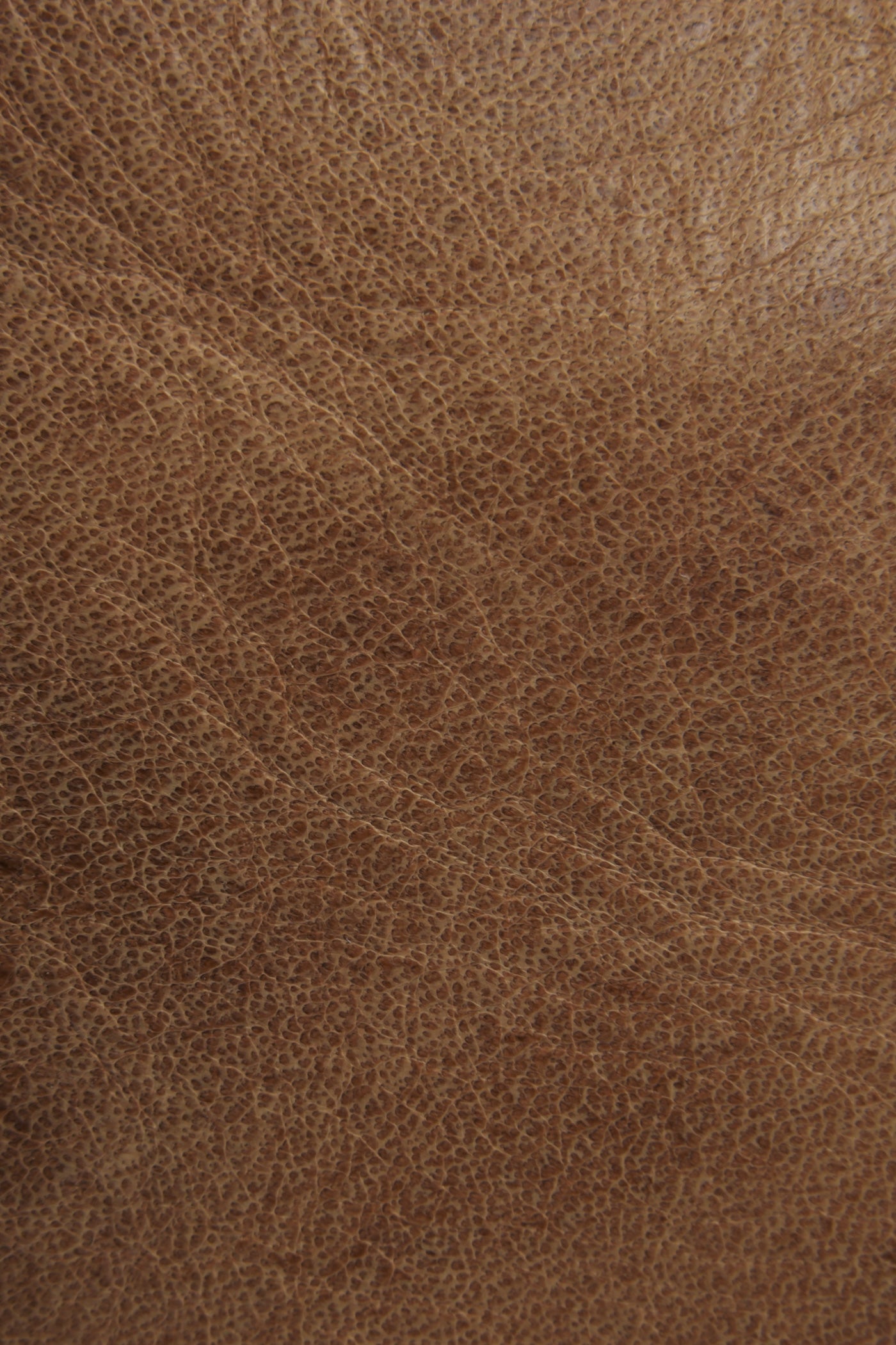 Melissa Tote - Image 5