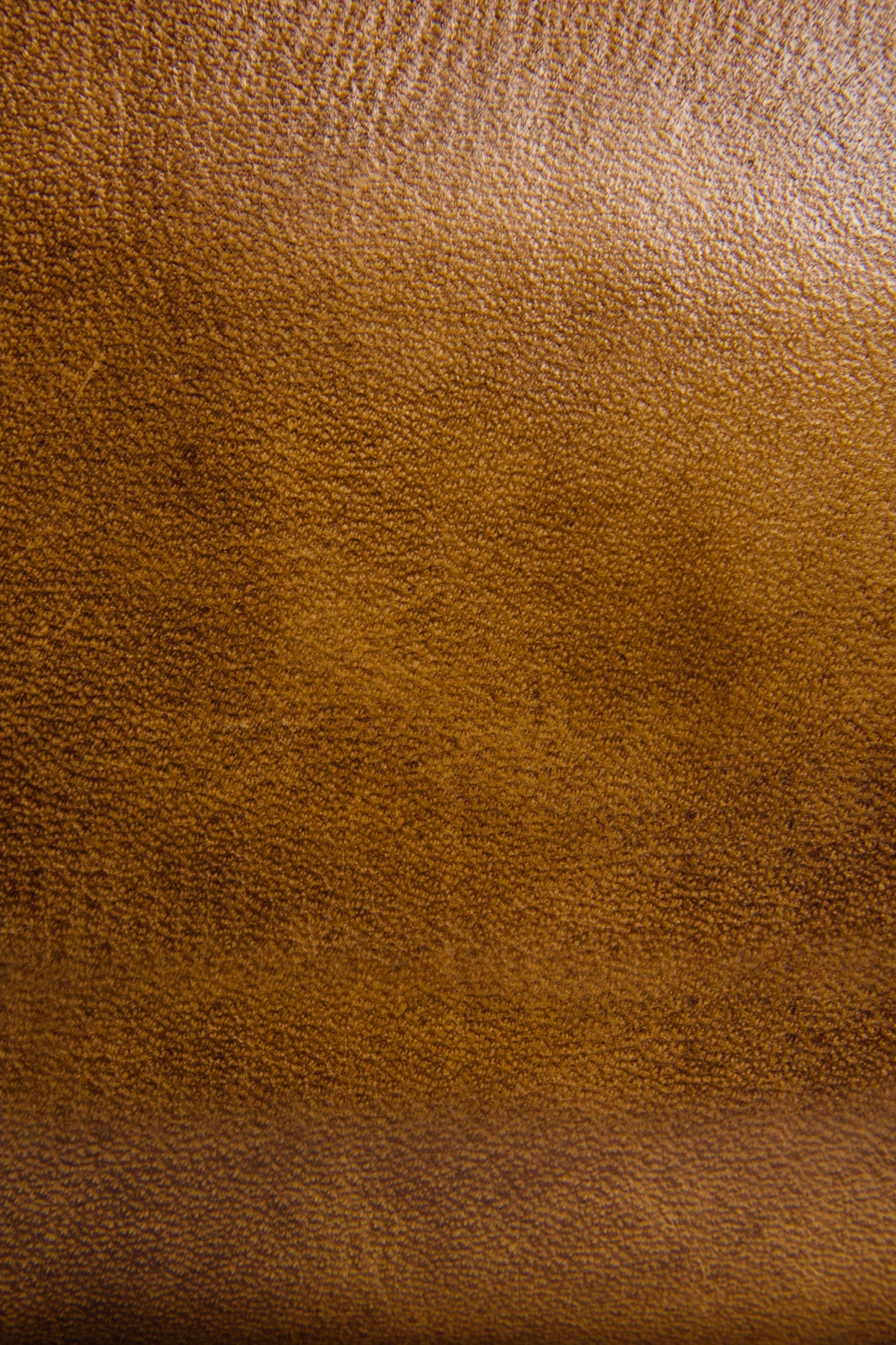Melissa Zip Wallet - Image 3