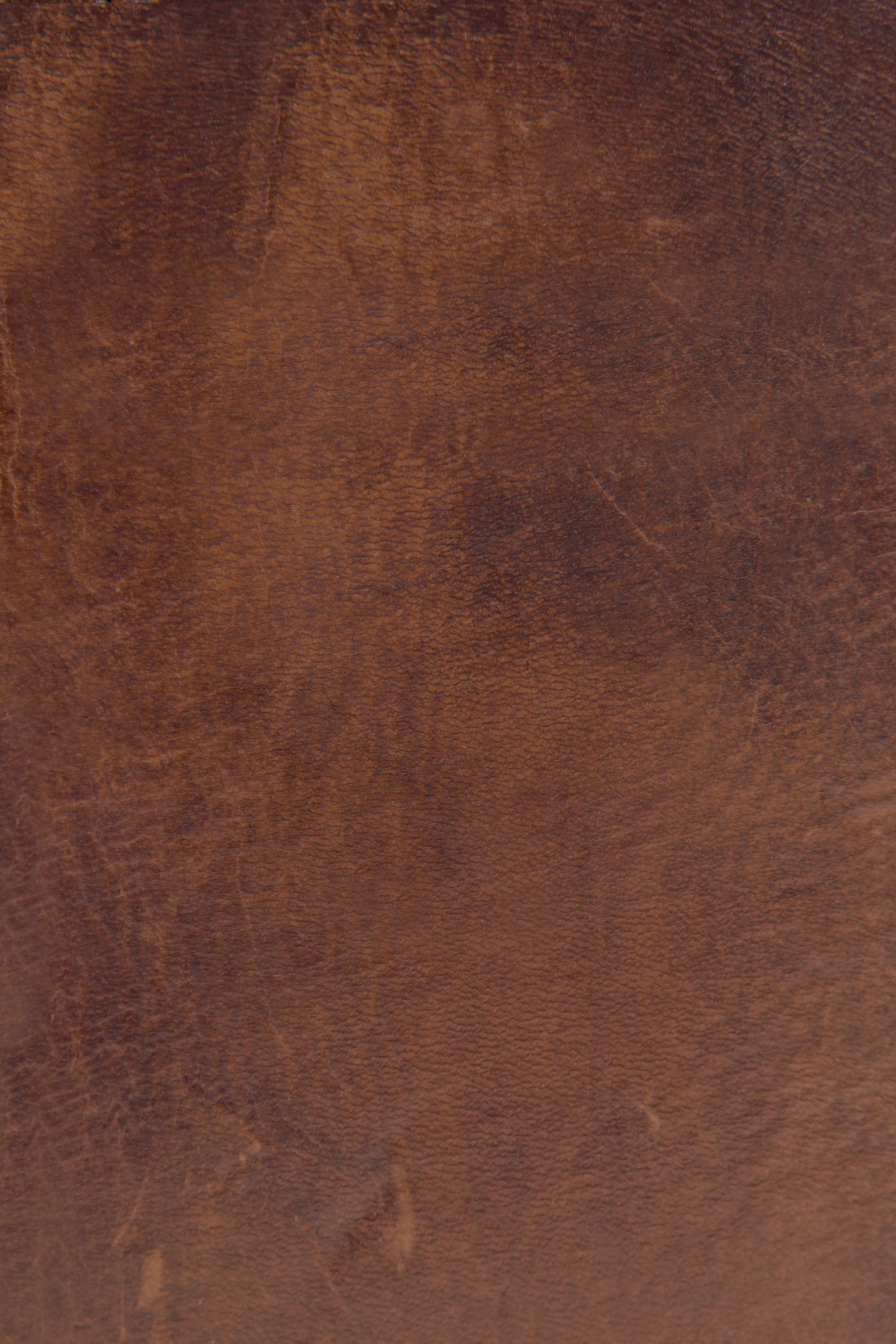 Melissa Zip Wallet - Image 3