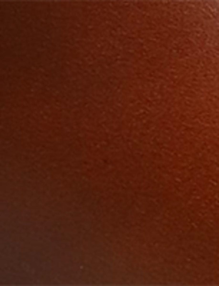 Campus Buckle - Image 9