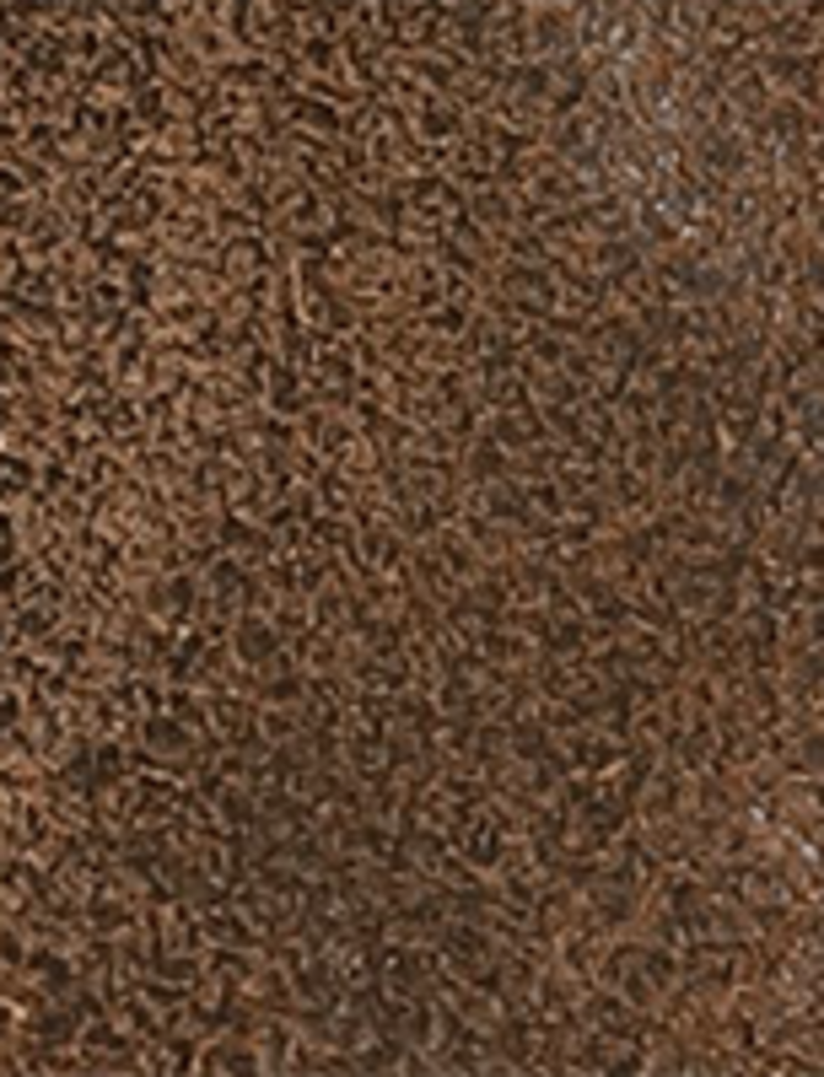 Campus Roper - Image 9