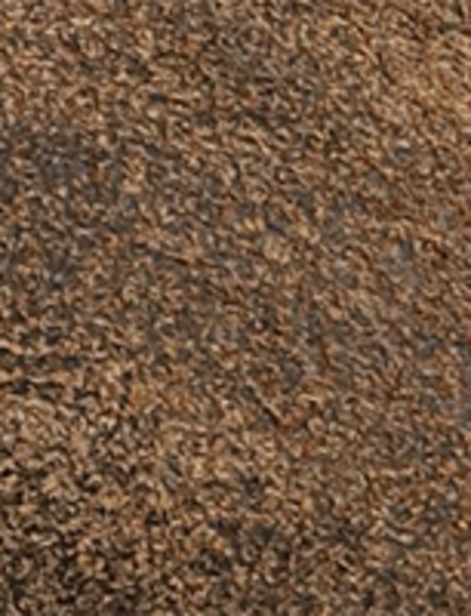 Chris Venetian - Image 9