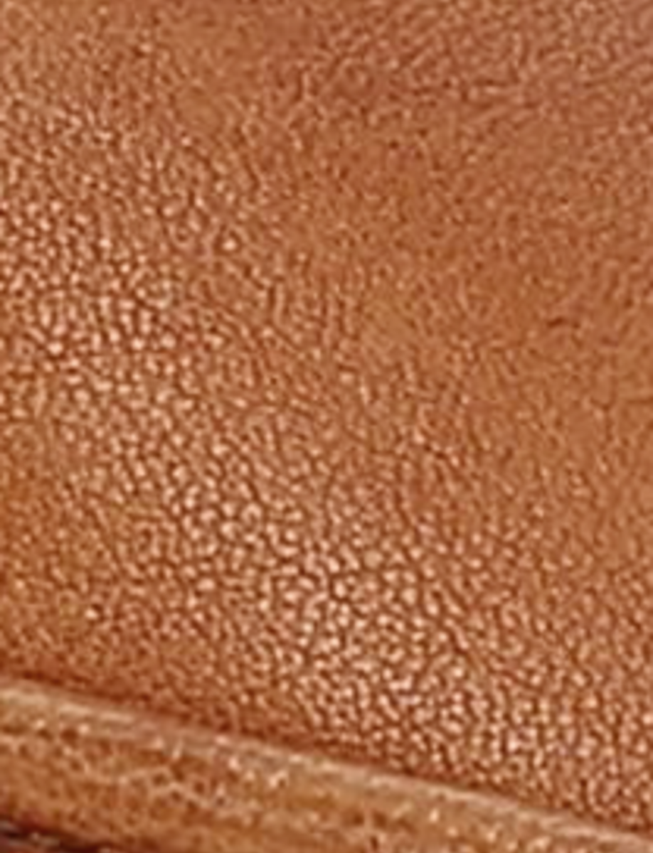 Faith Mule - Image 9