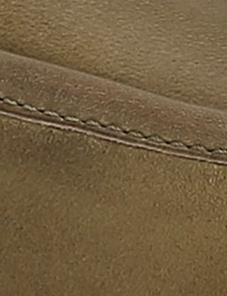 Faith Mule - Image 9