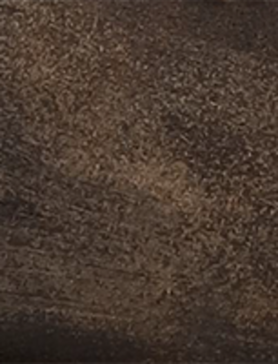Tyler Flex Penny - Image 9